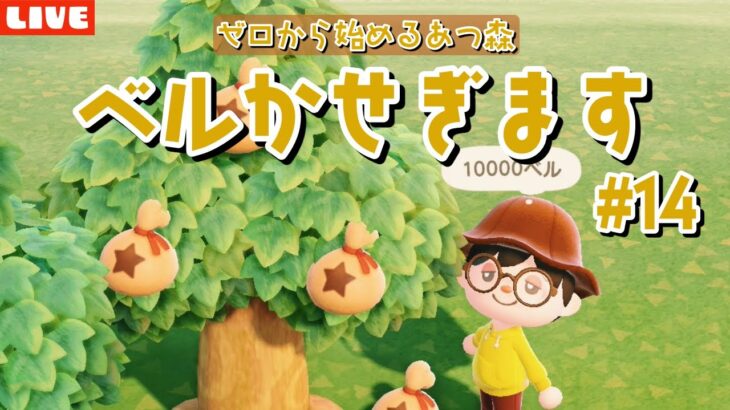 【あつ森】サブ島14日目！ベルが無さすぎるので稼ぎます！ゼロから始める島作りLIVE配信！【あつまれ どうぶつの森】