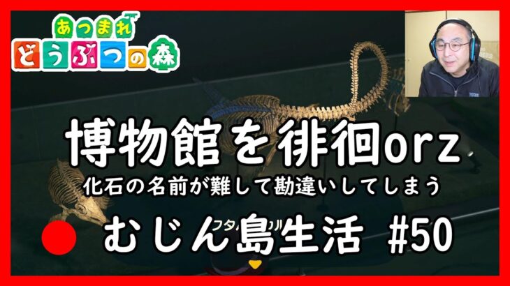 【あつ森】むじん島生活 #50　博物館を徘徊してしまう　Animal Crossing