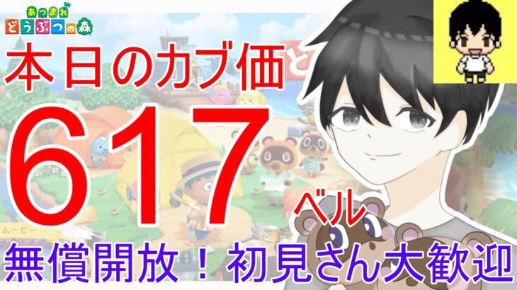 【あつ森】カブ価617ベルを無償開放。往復OK！カブ活しましょう！【カブ活】【ライブ配信】