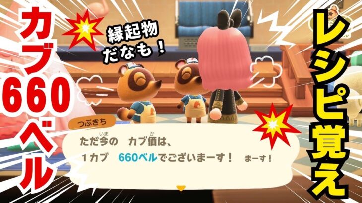 【㊗本日誕生日】🍰⛄あつ森カブ活♪カブ価最高ベルの６６０ベルでお祝いSP💰レシピ覚え🍳3分間♪【視聴者参加型】