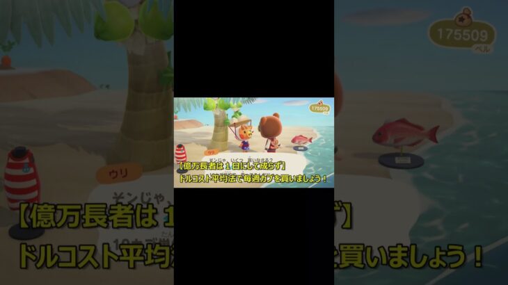 【あつ森Vlog】今日のカブ価は？！カブカブあがれ♪   #あつ森 #shorts #animalcrossing