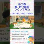 #あつ森 #acnh #島紹介 #どうぶつの森 #animalcrossing 【夢更新する前】島を残したくて動画つくってみた。