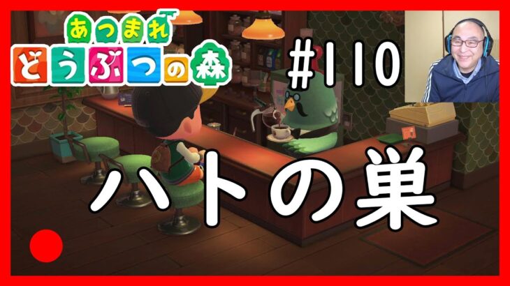 【あつ森】#110　ハトの巣　Animal Crossing