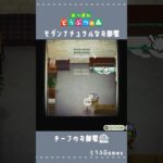 【あつ森】住民さんお家レイアウト|モダンチュラルなお部屋| マイデザイン無しの島づくり|Animal Crossing: New Horizons　#Shorts #acnh #島クリエイター