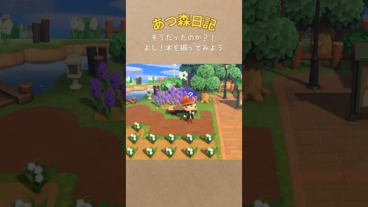 【あつ森】まだまだ知らない事があるんだなぁ…#あつ森 #acnh #animalcrossing  #shorts