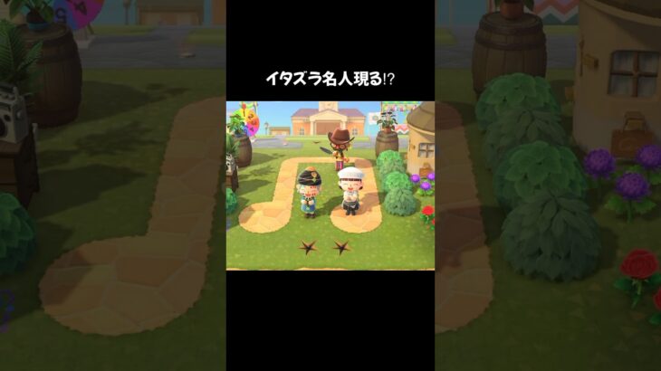 イタズラ名人現る⁉︎【あつ森ショート】 #あつまれ動物の森 #どうぶつの森 #animalcrossing #acnh