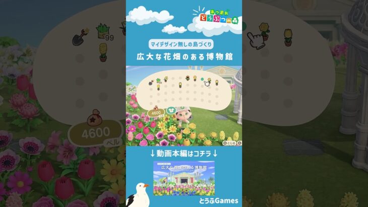 【あつ森】マイデザイン無しの島づくり|広大な花畑のある博物館Ver|Animal Crossing: New Horizons【島クリエイター】#Shorts #acnh #島クリエイター