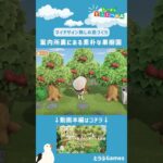 【あつ森】マイデザイン無しの島づくり||案内所裏にある素朴な果樹園Ver|Animal Crossing: New Horizons【島クリエイター】#Shorts #acnh