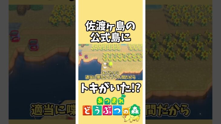 【あつ森】佐渡ヶ島の公式島にトキがいたよ！？【あつまれどうぶつの森】#あつ森 #どうぶつの森 #shorts