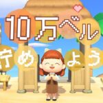 10万ベル貯めるぞ！まったり配信🌳🐶【あつ森】【生配信】#あつまれどうぶつの森