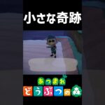 2つのメッセージボトル【あつ森/配信切り抜き】 #vtuber #あつ森 #shorts