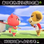 ☑️【あつ森】2024/05/09『1分間動画①』animalcrossingnewhorizons/あつまれどうぶつの森/동물의숲/#shorts