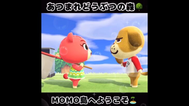 ☑️【あつ森】2024/05/09『1分間動画①』animalcrossingnewhorizons/あつまれどうぶつの森/동물의숲/#shorts