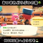 ☑️【あつ森】2024/05/11『1分間動画①』animalcrossingnewhorizons/あつまれどうぶつの森/동물의숲/#shorts