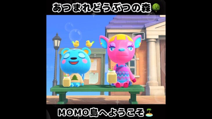 ☑️【あつ森】2024/05/17『1分間動画①』animalcrossingnewhorizons/あつまれどうぶつの森/동물의숲/#shorts