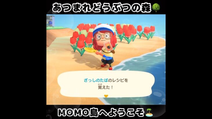 ☑️【あつ森】2024/05/17『1分間動画②』animalcrossingnewhorizons/あつまれどうぶつの森/동물의숲/#shorts