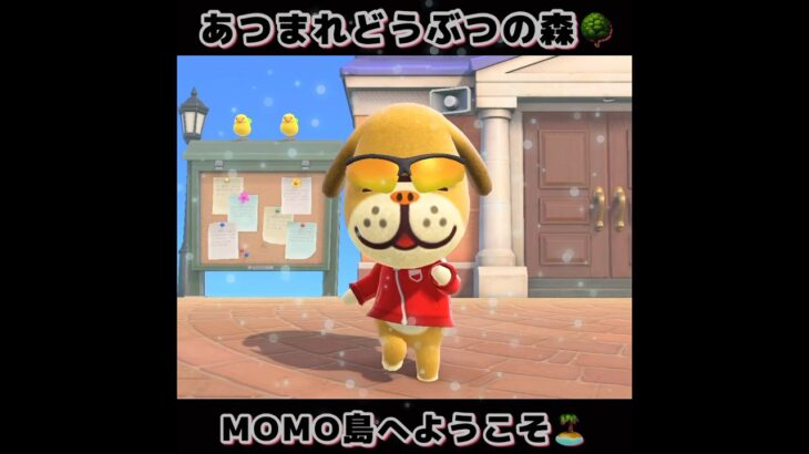 ☑️【あつ森】2024/05/18『1分間動画④』animalcrossingnewhorizons/あつまれどうぶつの森/동물의숲/#shorts