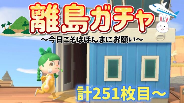 【あつ森 配信】深夜に離島ガチャ251枚目～！今日こそはほんまにお願い、、！【あつまれどうぶつの森】