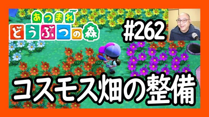 コスモス畑の整備【あつ森】#262　Animal Crossing
