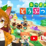 【あつまれどうぶつの森】今から始めるあつ森🍊🐶ハッピーホームパラダイスやる#37【はるみまろ】【Vtuber】