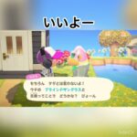 4ごうちゃんに呼ばれた　#animal #animalcrossing #vlog #あつ森 #あつまれどうぶつの森 #acnh #shorts