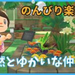 【あつ森】5月を楽しむ！ゆったり島生活と博物館めぐり♫【あつまれどうぶつの森】