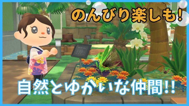 【あつ森】5月を楽しむ！ゆったり島生活と博物館めぐり♫【あつまれどうぶつの森】