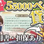 【あつ森】今日中に55000ベル必要になり、リスナーから借金をしてたぬきちに借金を返す多重債務者なな湖【なな湖切り抜き】