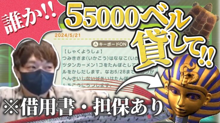 【あつ森】今日中に55000ベル必要になり、リスナーから借金をしてたぬきちに借金を返す多重債務者なな湖【なな湖切り抜き】