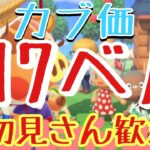 【あつ森とテトリス】カブ価617ベルや576ベル島など　ライブ参加型