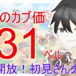 【あつ森】カブ価631,626ベルを無償開放。往復OK！カブ活しましょう！【カブ活】【ライブ配信】