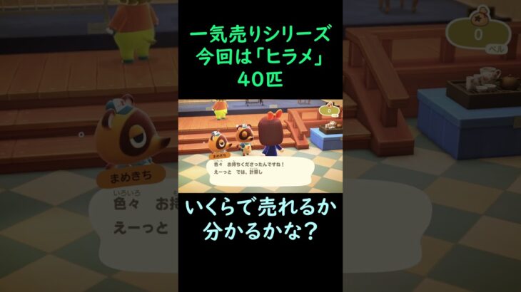 【あつ森】　一気売り シリーズ  Part37 今回は 【ヒラメ】 40匹 いくらか分かるかい？