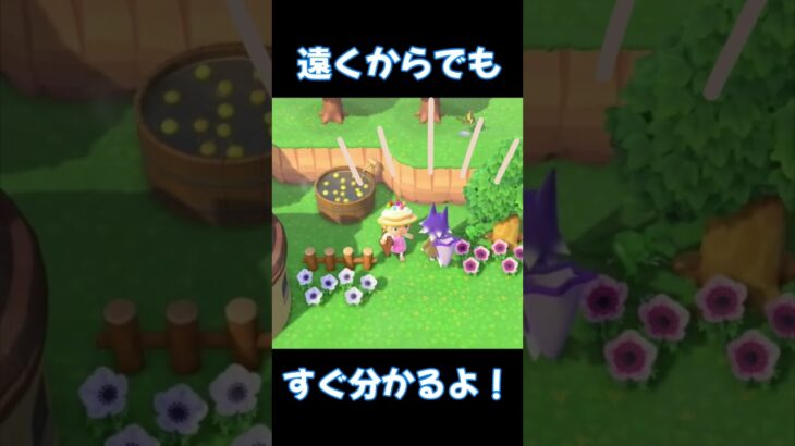 遠くからでもすぐ分かるよ！【あつ森】#Shorts #あつ森 #あつまれどうぶつの森 #ゲーム実況