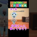 【あつ森】あき島 【かえ（娘）】の独特な「ハピパラ」の楽しみ方♪  #Shorts