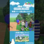 【あつ森】マイデザイン無しの島づくり|南国リゾート風な島の入口ショートVer|Animal Crossing: New Horizons【島クリエイター】#Shorts #島クリエイト#acnh
