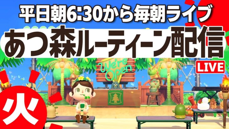 【あつ森】挨拶だけでも大歓迎の朝活ルーティーン配信🌳｜あつまれどうぶつの森｜acnh