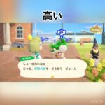 ホウサクの悩み　#animal #animalcrossing #vlog #あつ森 #あつまれどうぶつの森 #acnh #shorts