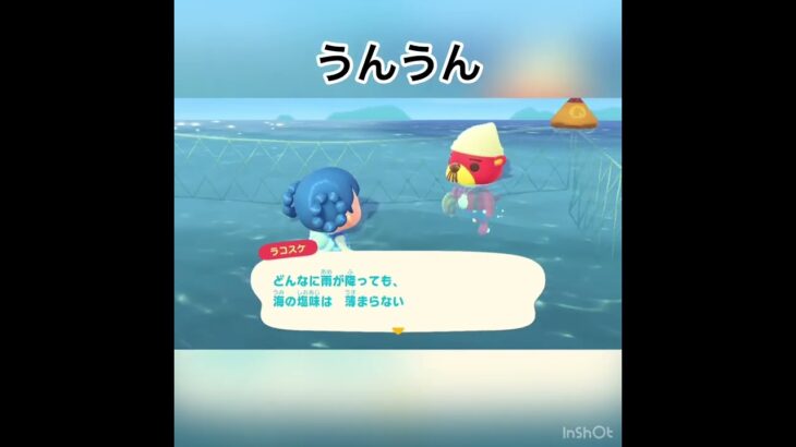 今日のラコスケの言葉　#animal #animalcrossing #vlog #あつ森 #あつまれどうぶつの森 #acnh #shorts