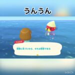 今日のラコスケの言葉　#animal #animalcrossing #あつ森 #あつまれ #あつまれどうぶつの森 #vlog #shorts