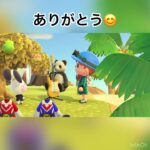 イザベラちゃんからプレゼント　#animal #animalcrossing #あつ森 #vlog #shorts