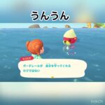 今日のラコスケの言葉　#animal #vlog #あつ森 #shorts