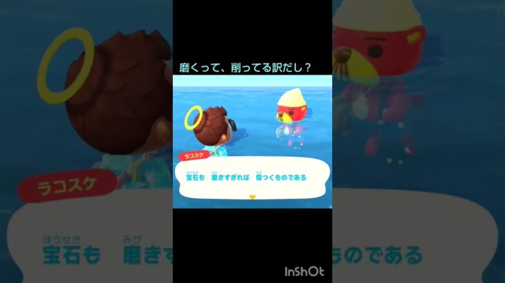 【あつ森】　ラコスケ🦦のホタテ。と、ついでに一言。宝石も！？#animalcrossing #shorts