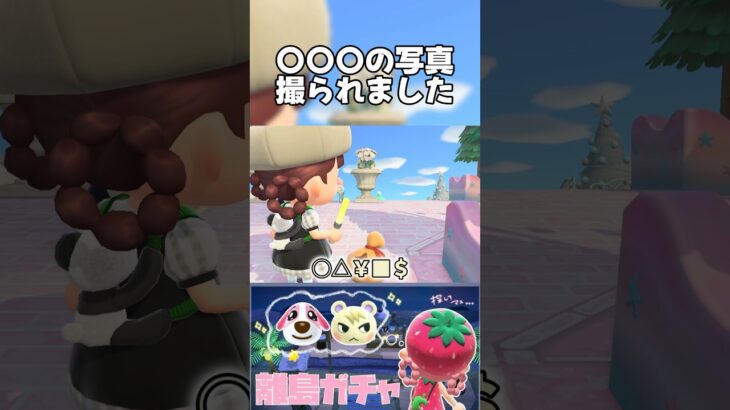 絶対撮ってたよね？？今撮ったよね？#あつ森 #あつまれどうぶつの森 #どうぶつの森 #animalcrossingnewhorizons #shorts #