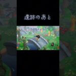 【あつ森】遺跡のあと【あつまれどうぶつの森】 #shorts