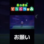 【あつ森】流星群‪ﾐ‪☆#shorts