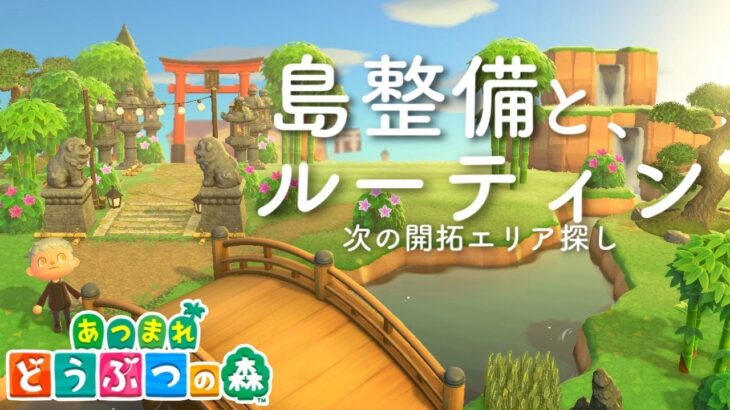 【あつ森】のんびりと島の整備や住民と交流したい。もしかしたら雑草を抜くだけかもしれないどうぶつの森