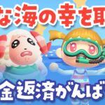 【あつ森】レアな海の幸でベルを稼いで借金返済するぞ！｜ちゃちゃまると作る島づくり【生配信】