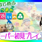 【今さら始める あつ森】　完全初見で島をクリエイトしてもよろしいか？　【あつまれどうぶつの森】