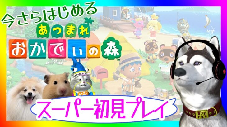 【今さら始める あつ森】　完全初見で島をクリエイトしてもよろしいか？　【あつまれどうぶつの森】