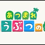 【あつ森】今更、あつまれどうぶつの森を初見プレイ